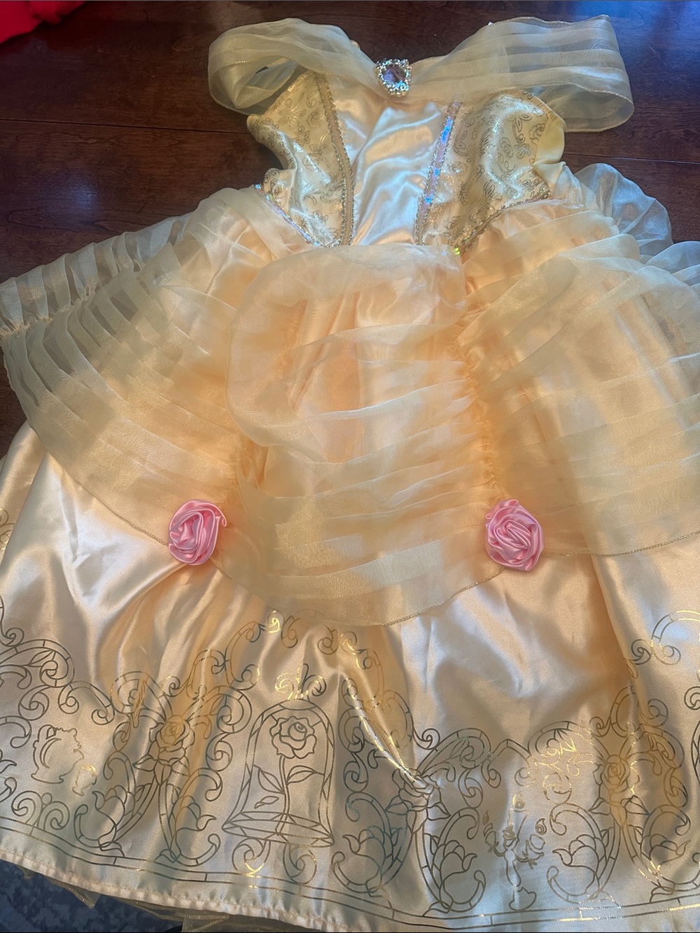 Disney Gold Princess Dress with Pink Rose Accents